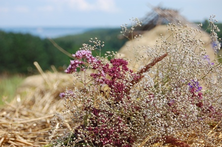 4 трипілля - поруч